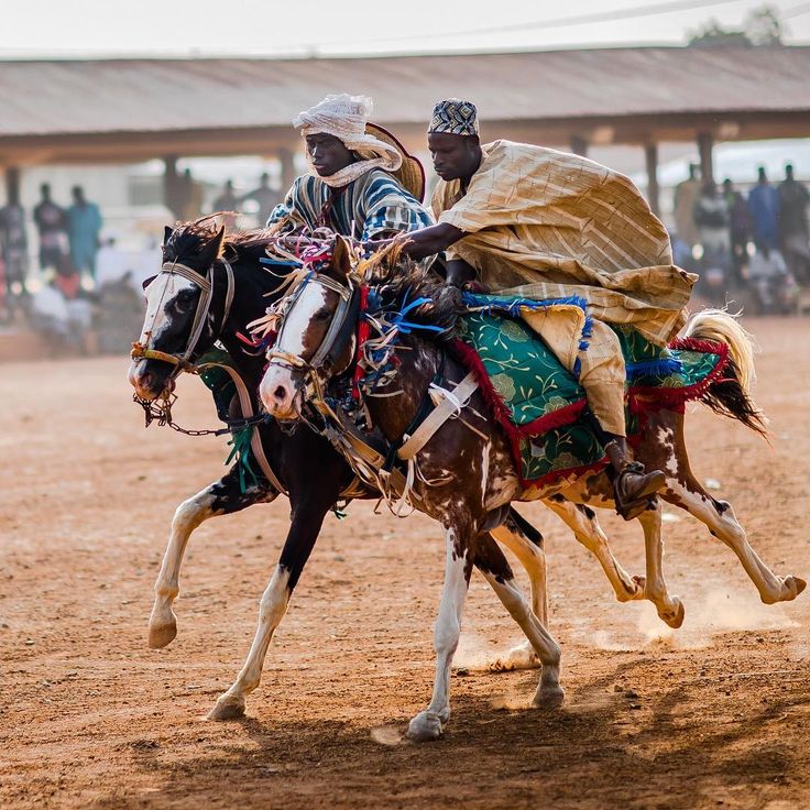 Sudan and Sahel savanna landscape in northern Nigeria